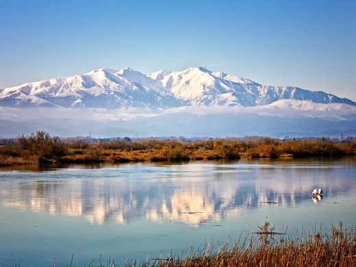 Le Canigou enneigé se reflétant dans un étang du Roussillon